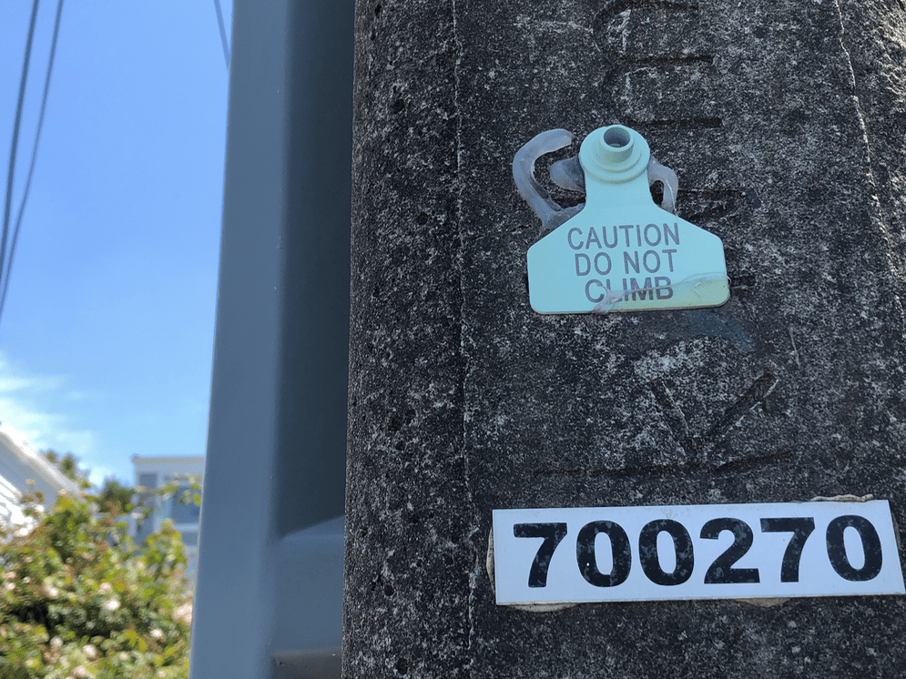 Screen Shot 2019-04-07 at 2.03.12 PM