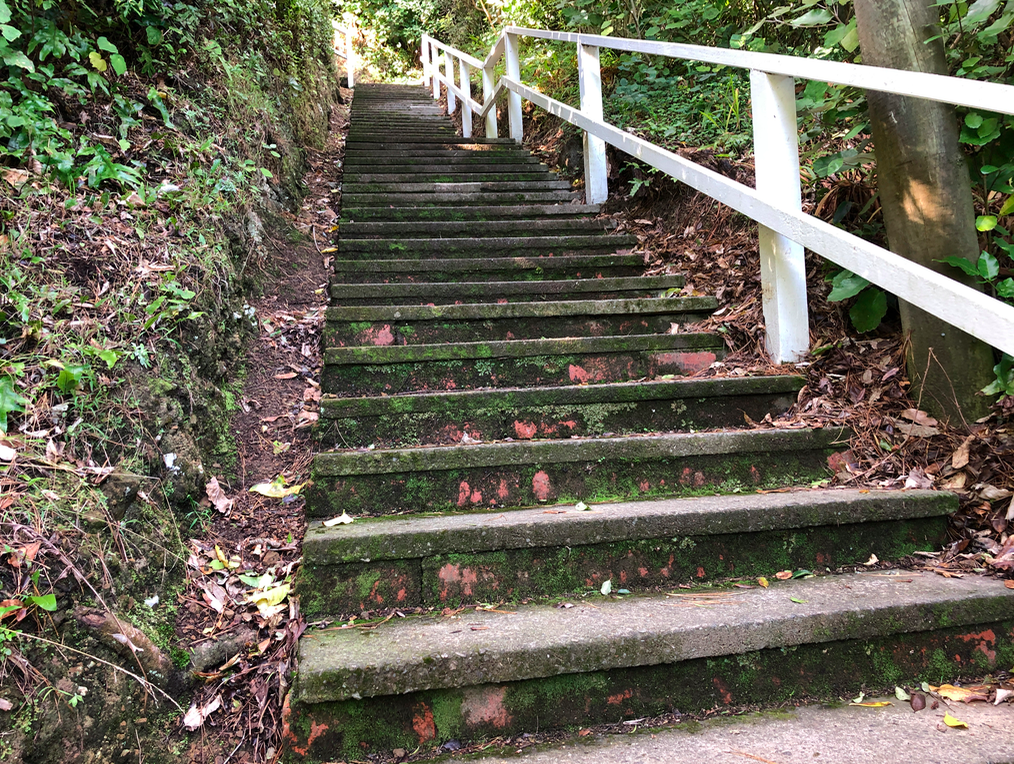 Screen Shot 2019-04-14 at 10.00.05 PM