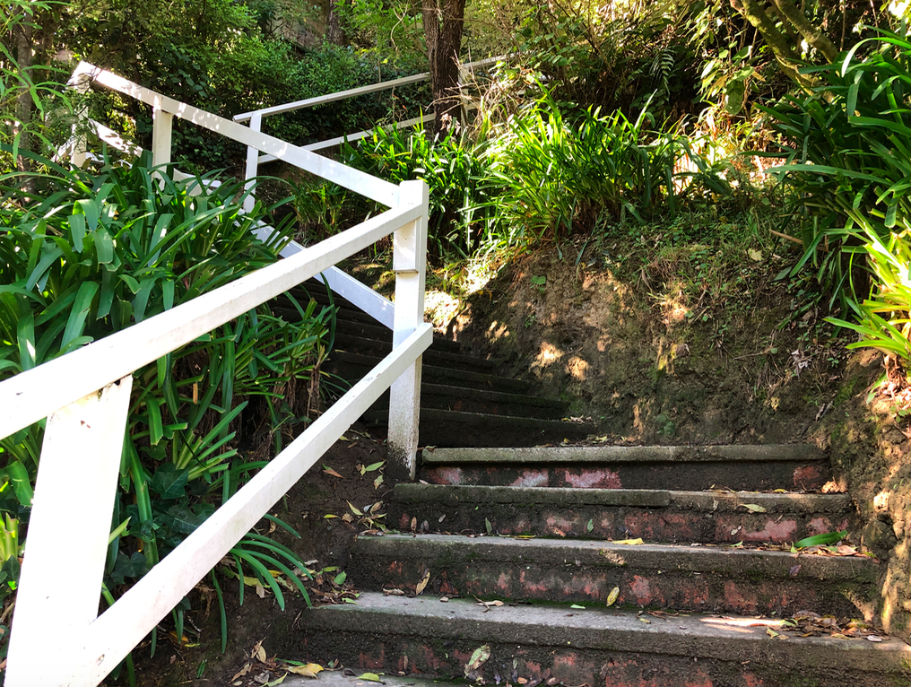 Screen Shot 2019-04-14 at 10.05.56 PM