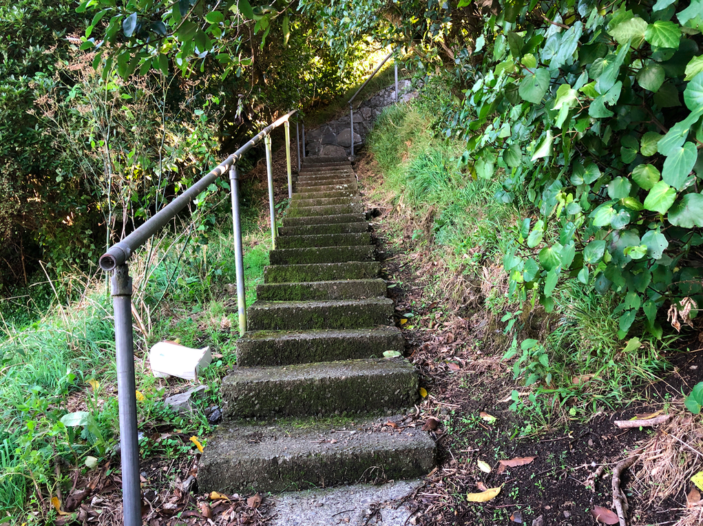 Screen Shot 2019-04-14 at 10.42.29 PM