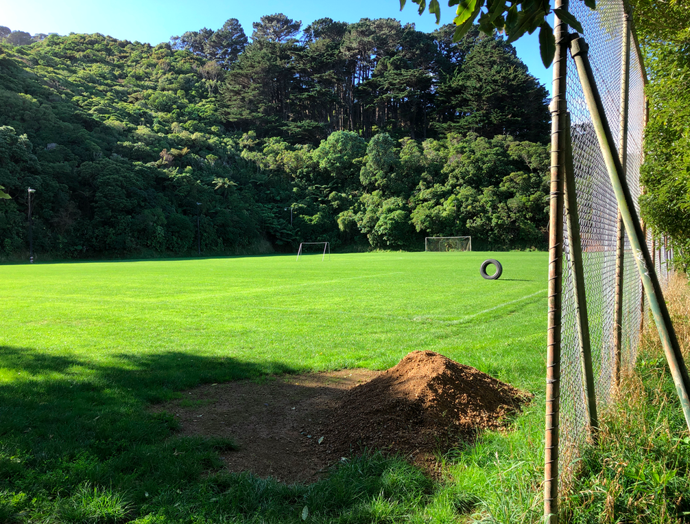 Screen Shot 2019-04-14 at 10.43.01 PM