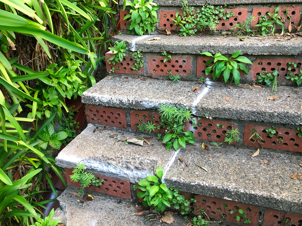 Screen Shot 2019-04-16 at 10.45.32 AM