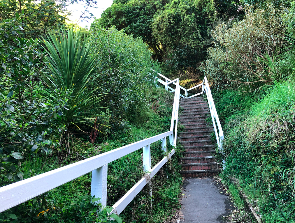 Screen Shot 2019-04-16 at 10.48.16 AM