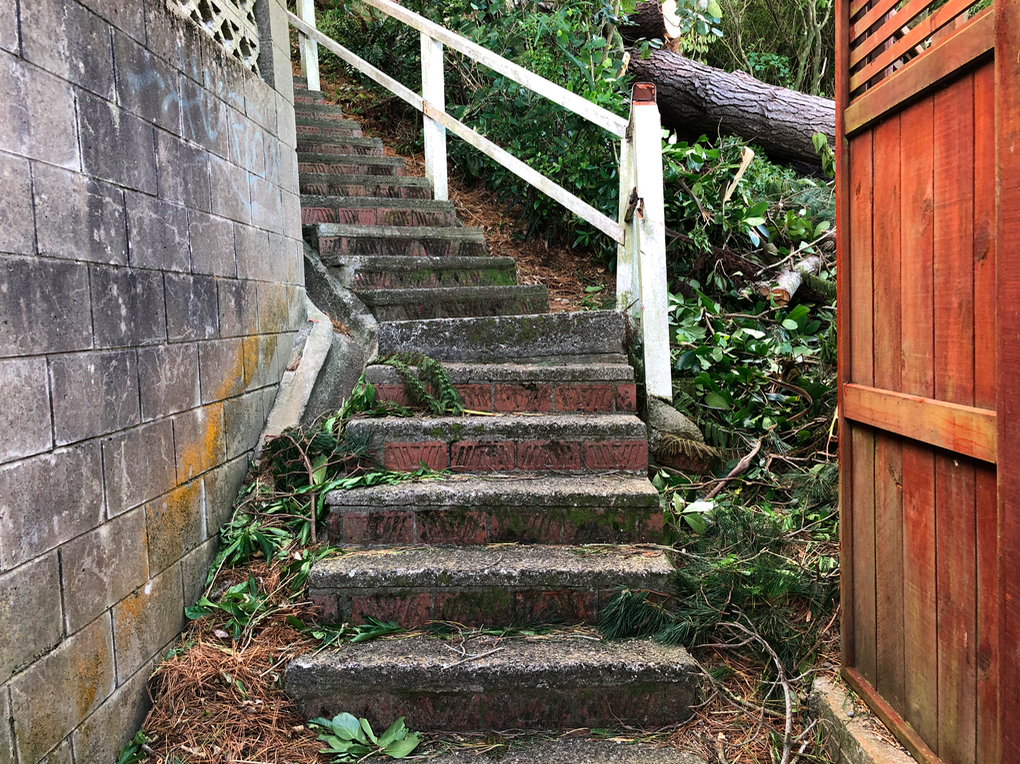 Screen Shot 2019-04-16 at 12.43.51 PM