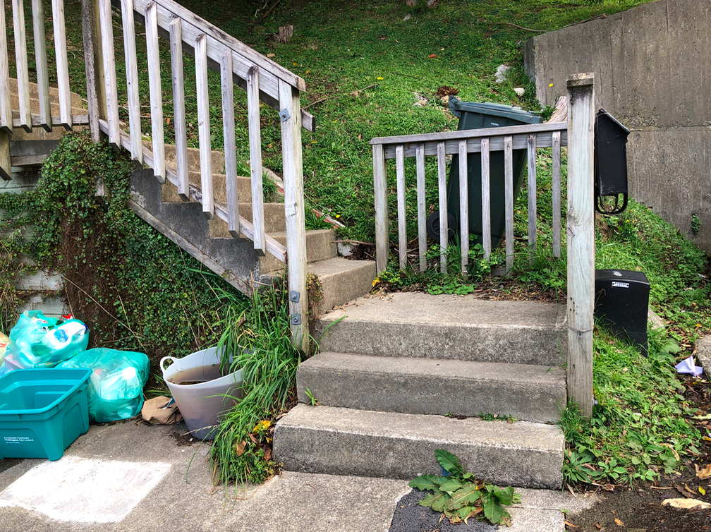 Screen Shot 2019-04-16 at 12.48.55 PM