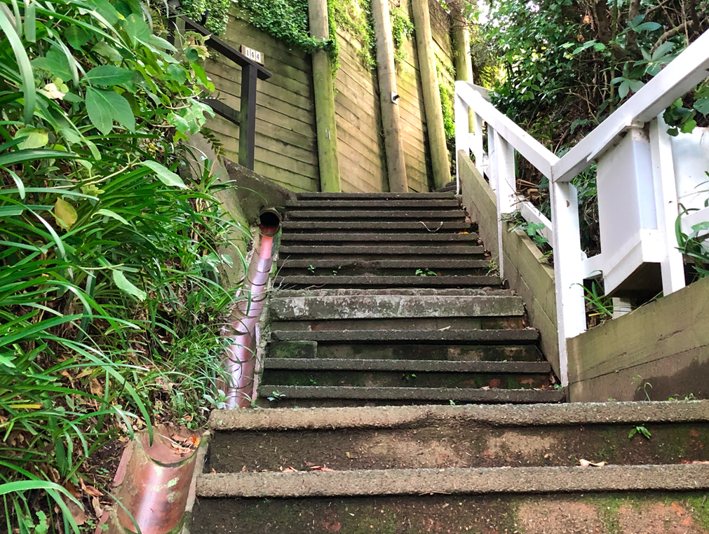 Screen Shot 2019-04-16 at 12.50.23 PM