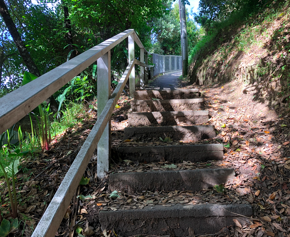 Screen Shot 2019-04-17 at 2.58.46 PM