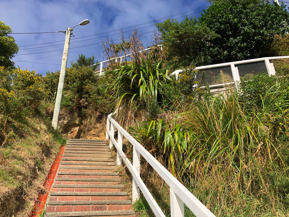 Screen Shot 2019-04-17 at 3.00.17 PM