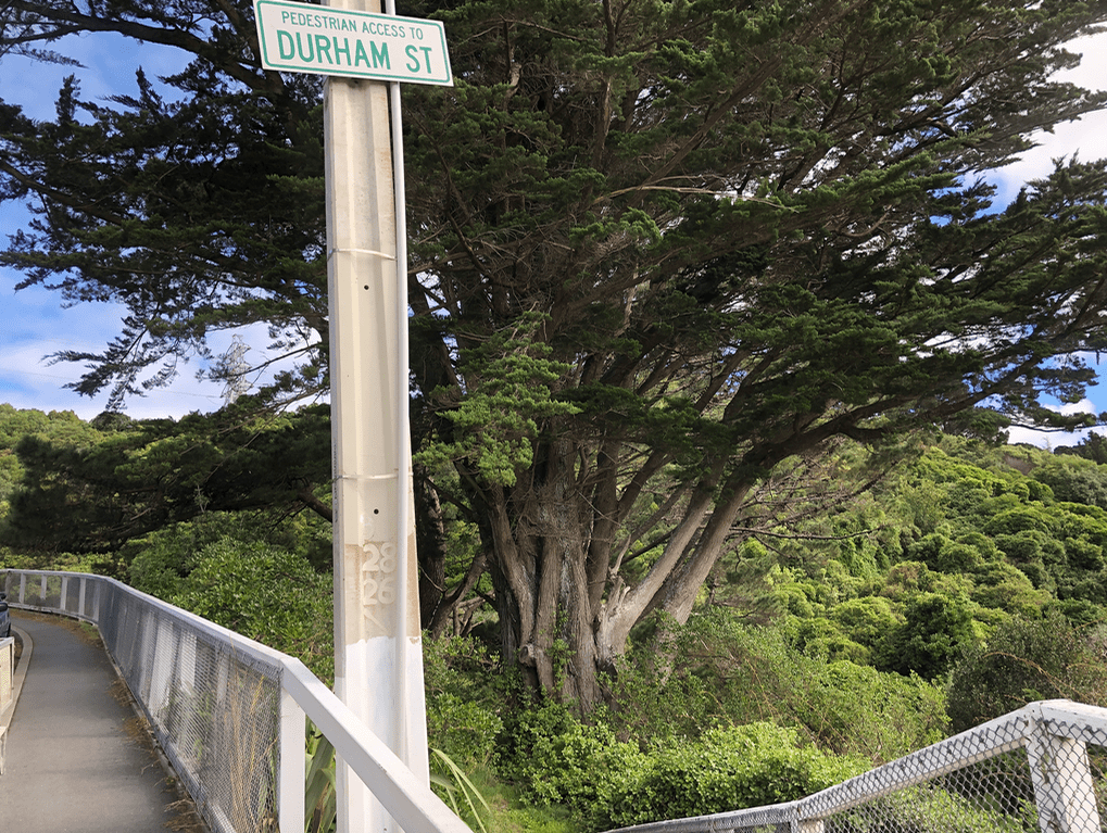 Screen Shot 2019-04-17 at 3.01.21 PM