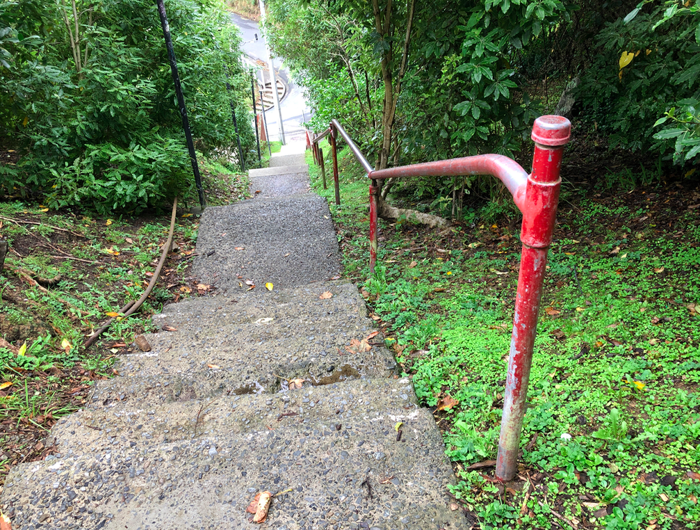 Screen Shot 2019-04-22 at 3.43.28 PM