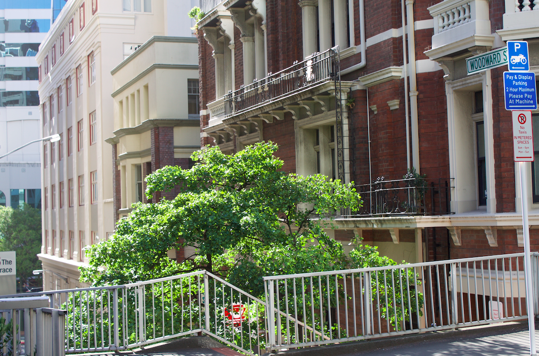 Screen Shot 2019-04-28 at 12.00.37 PM