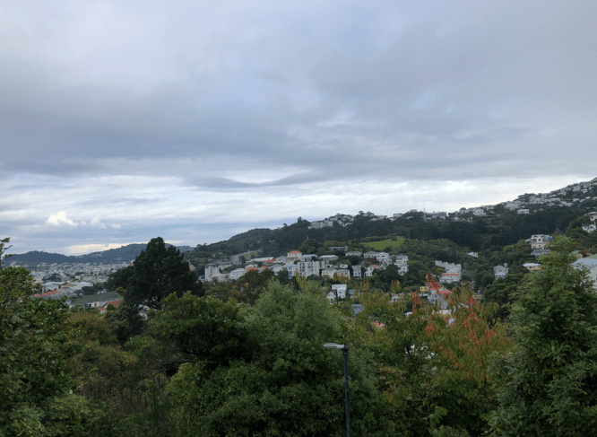 Screen Shot 2019-05-20 at 12.47.03 PM