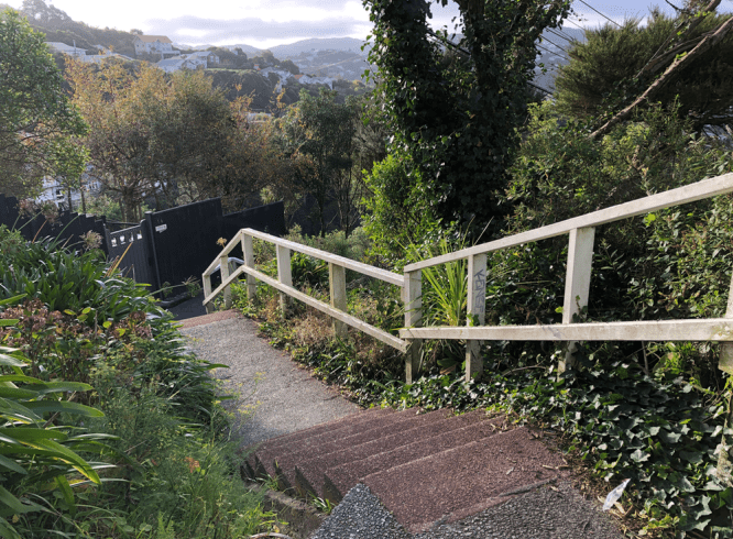 Screen Shot 2019-05-20 at 12.49.29 PM