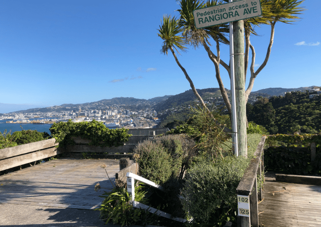 Screen Shot 2019-05-20 at 12.50.52 PM