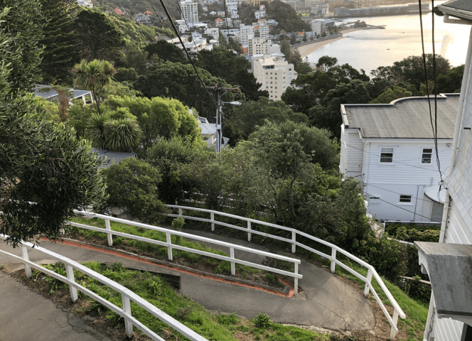 Screen Shot 2019-05-20 at 12.53.48 PM