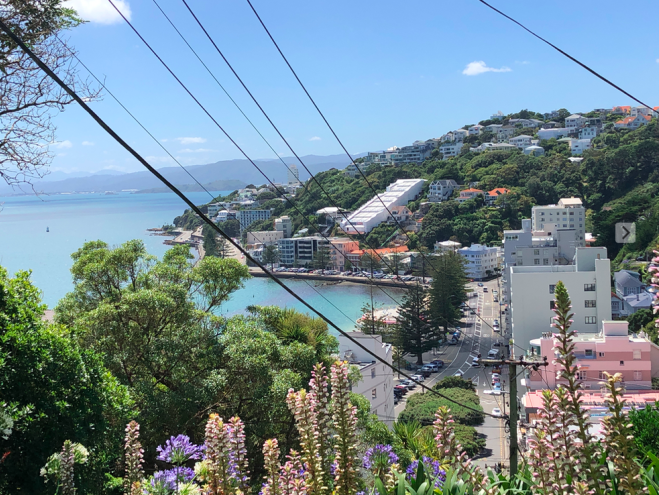 Screen Shot 2019-05-20 at 12.55.18 PM