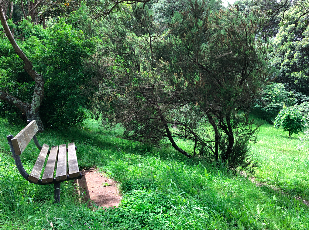 Screen Shot 2019-03-31 at 1.06.29 PM