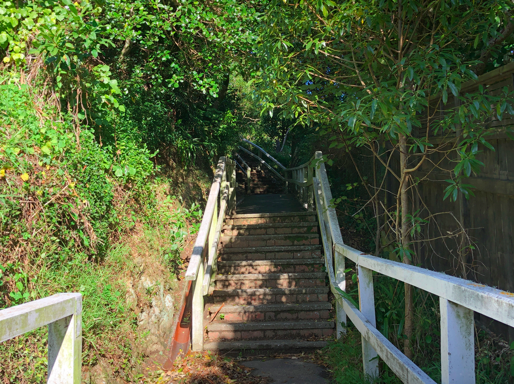 Screen Shot 2019-05-04 at 10.29.10 PM