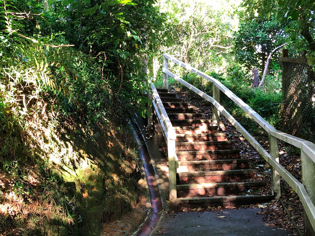 Screen Shot 2019-05-04 at 10.29.26 PM