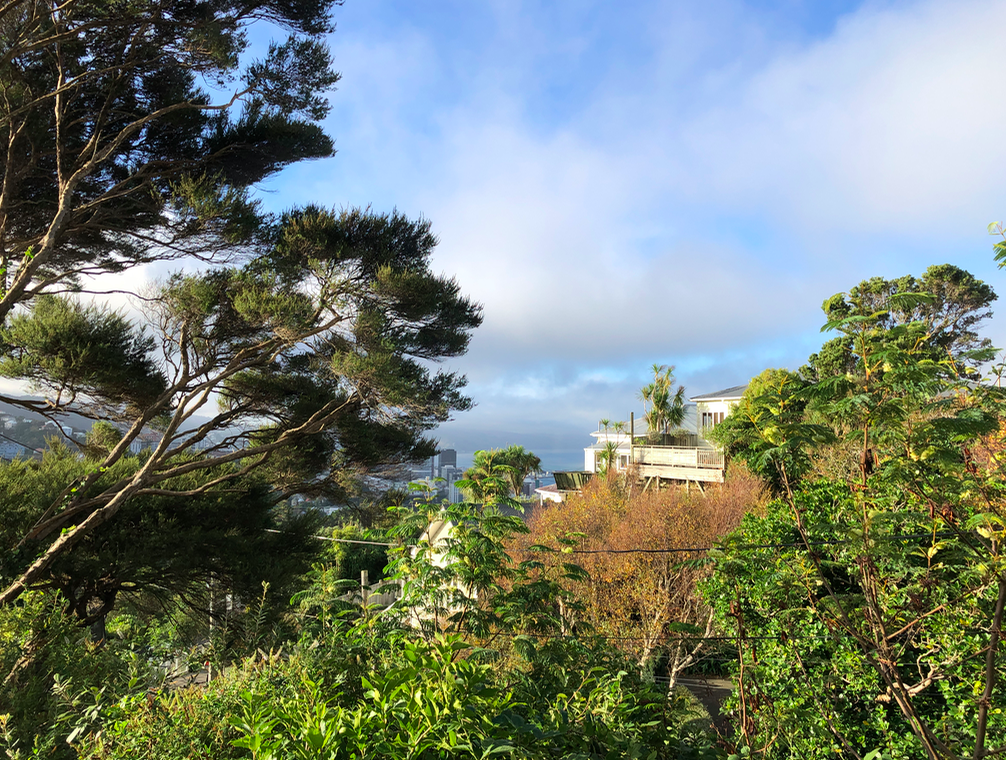 Screen Shot 2019-05-06 at 4.48.44 PM