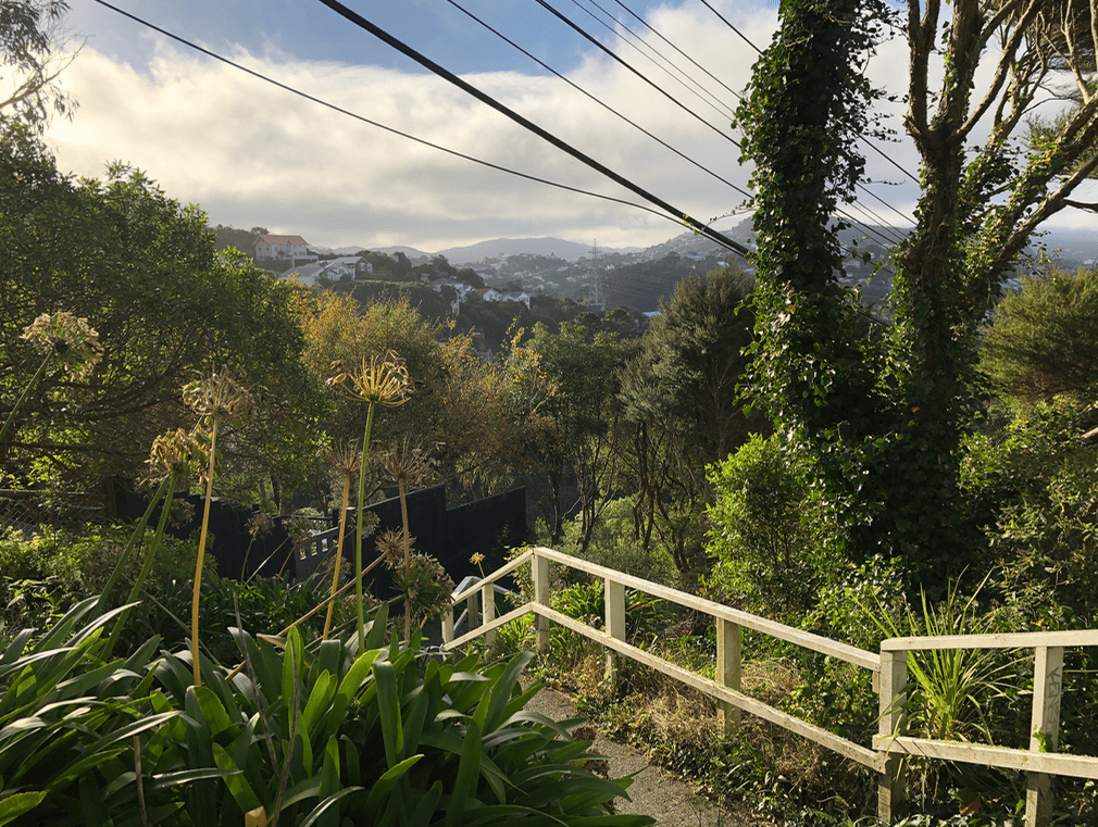 Screen Shot 2019-05-06 at 4.48.59 PM