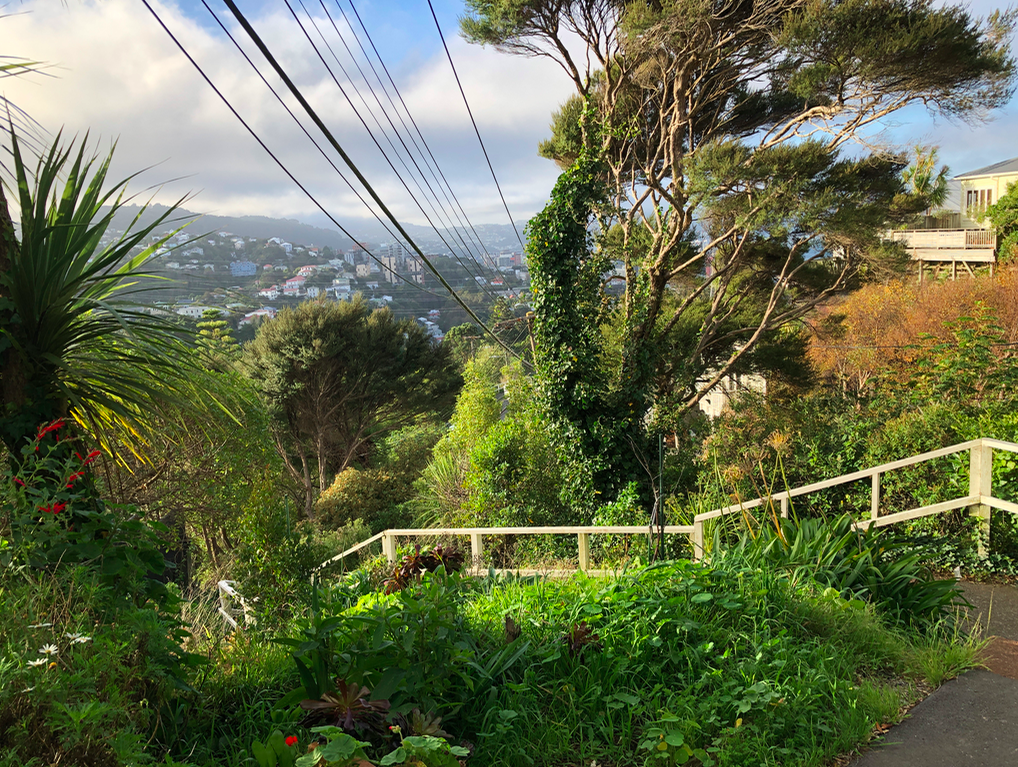 Screen Shot 2019-05-06 at 4.53.06 PM