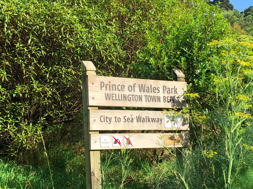 Screen Shot 2019-05-07 at 6.54.09 PM