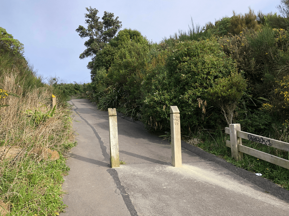 Screen Shot 2019-05-07 at 6.55.50 PM