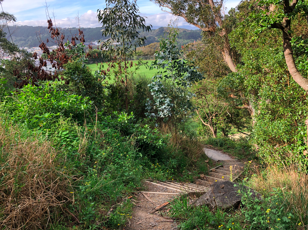 Screen Shot 2019-05-07 at 6.57.39 PM