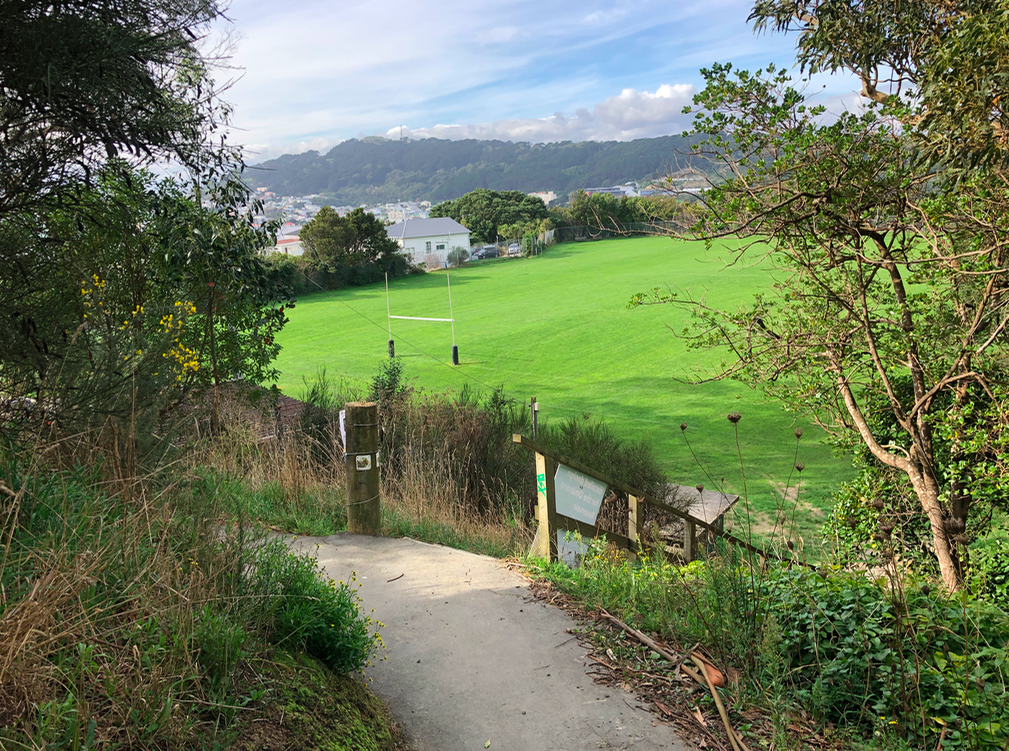 Screen Shot 2019-05-07 at 6.57.56 PM