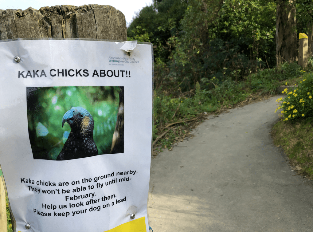 Screen Shot 2019-05-07 at 6.58.07 PM