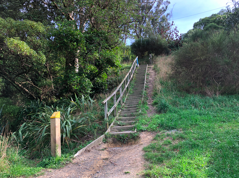 Screen Shot 2019-05-07 at 6.59.33 PM