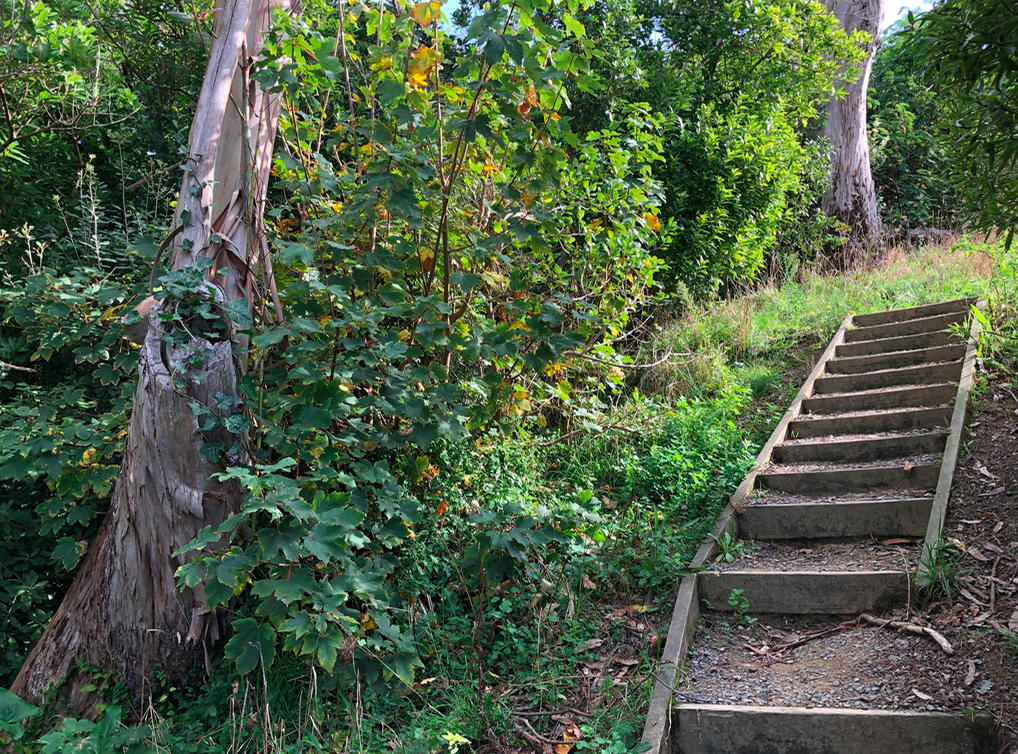 Screen Shot 2019-05-07 at 7.00.00 PM