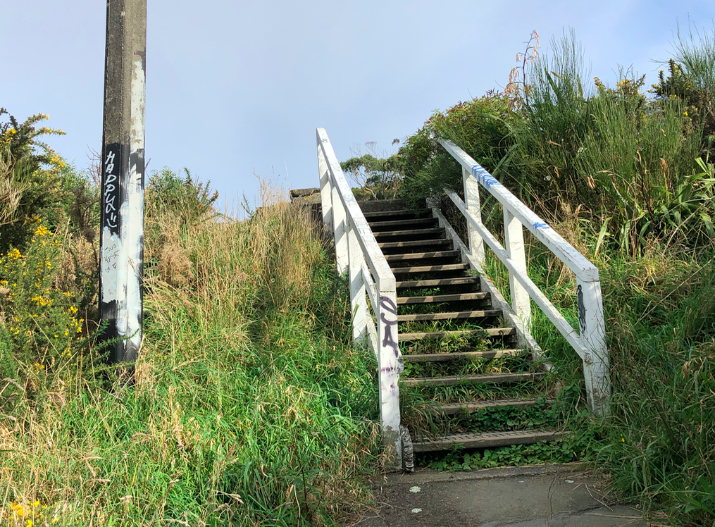 Screen Shot 2019-05-07 at 7.00.23 PM