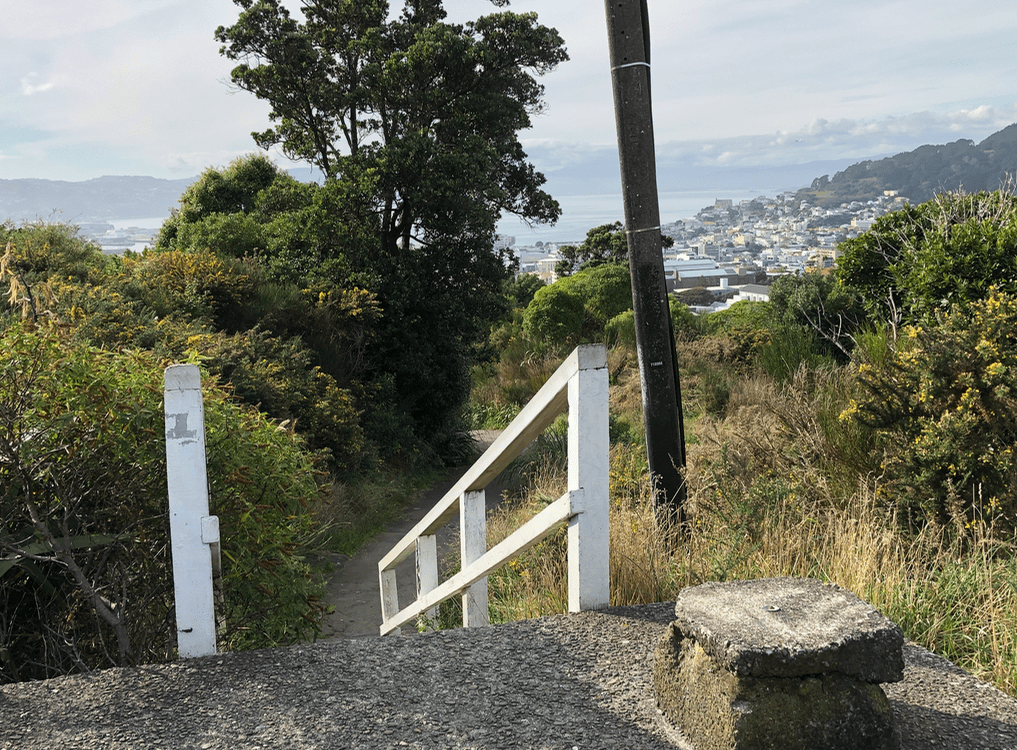 Screen Shot 2019-05-07 at 7.01.07 PM