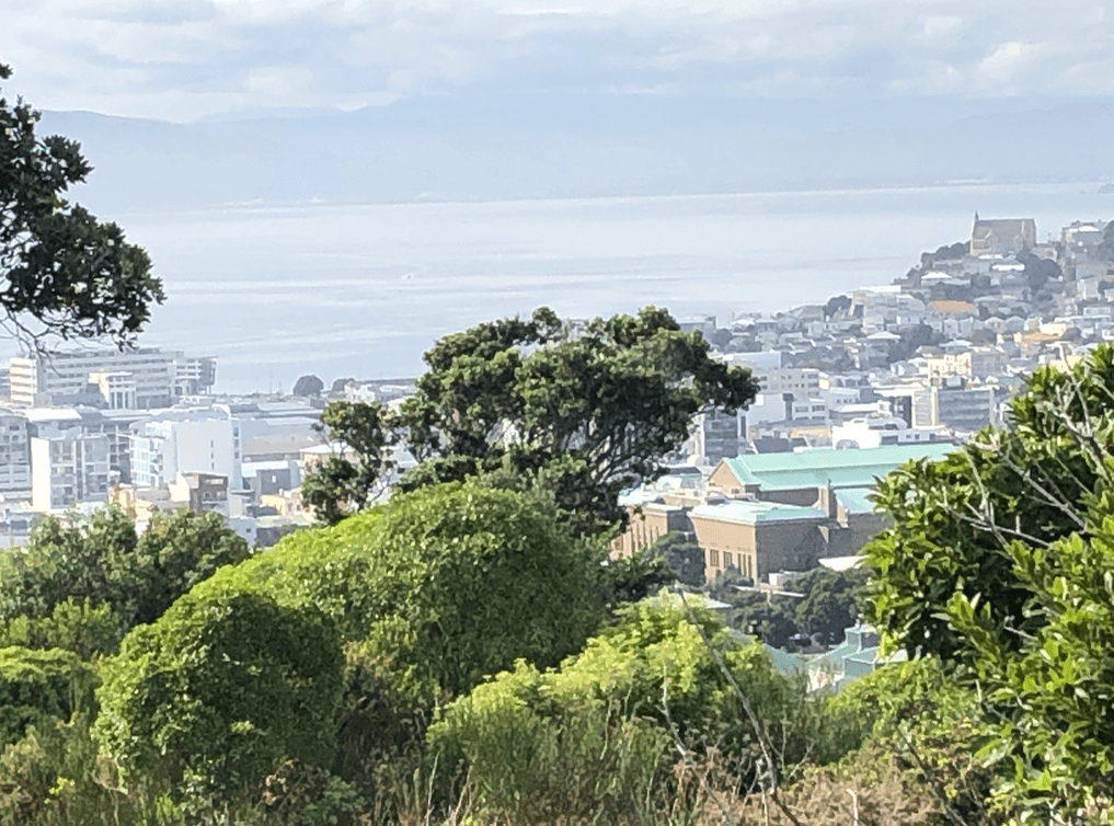 Screen Shot 2019-05-07 at 7.01.21 PM