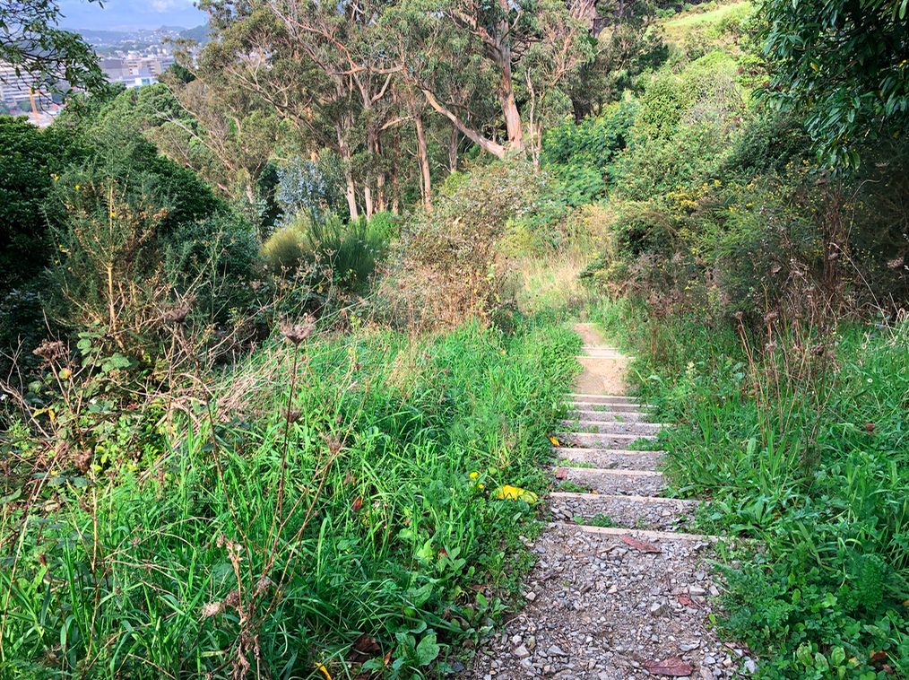 Screen Shot 2019-05-07 at 7.18.52 PM