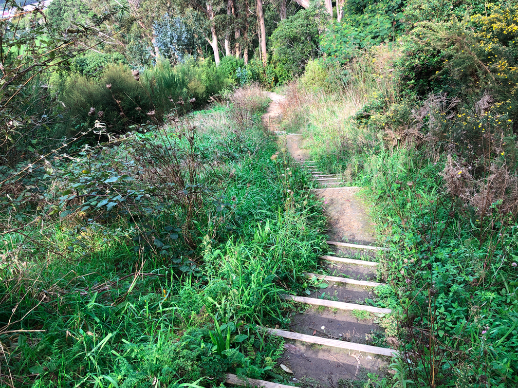 Screen Shot 2019-05-07 at 7.19.03 PM