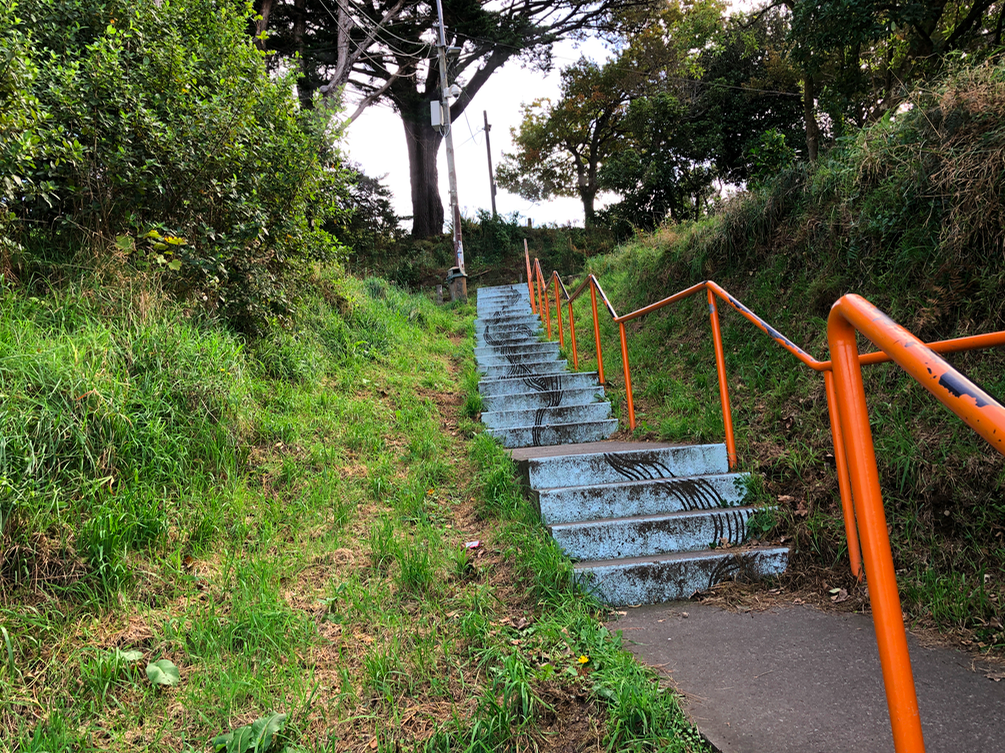 Screen Shot 2019-05-07 at 7.58.04 PM