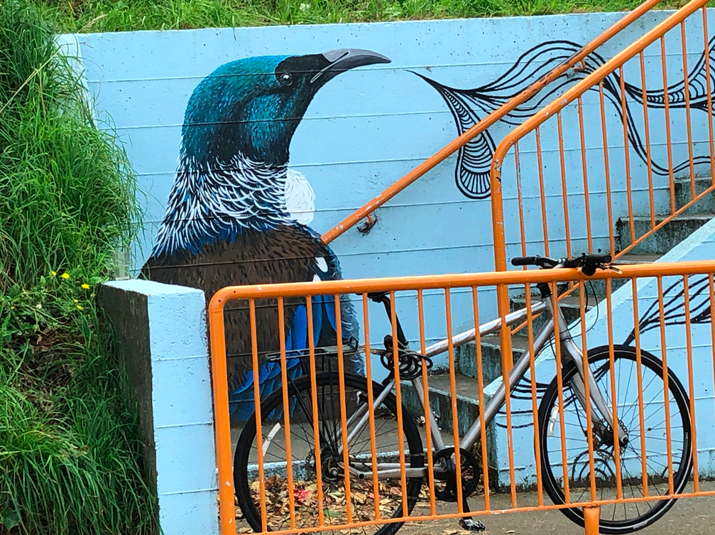 Screen Shot 2019-05-07 at 7.59.04 PM