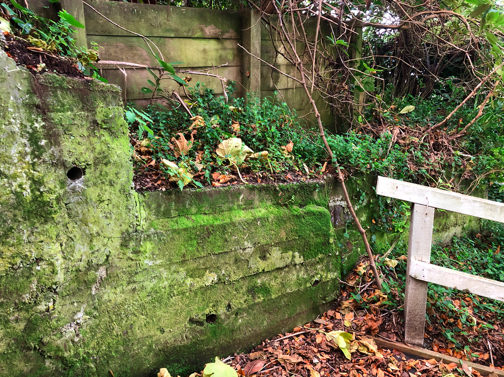 Screen Shot 2019-05-07 at 8.56.50 PM