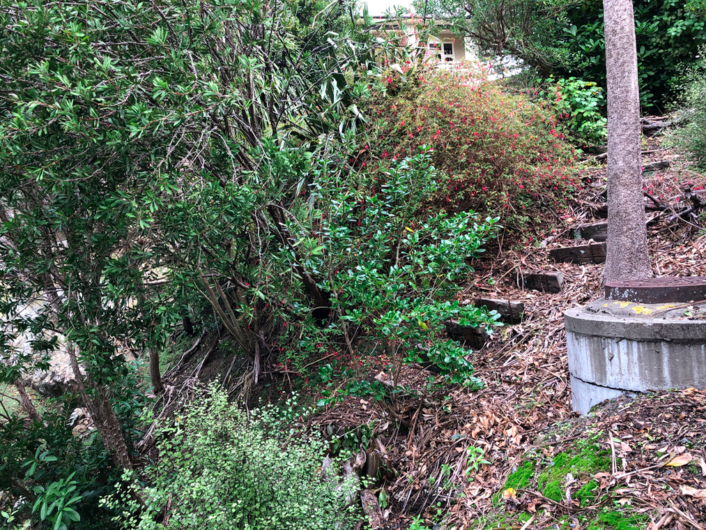 Screen Shot 2019-05-08 at 10.43.14 PM