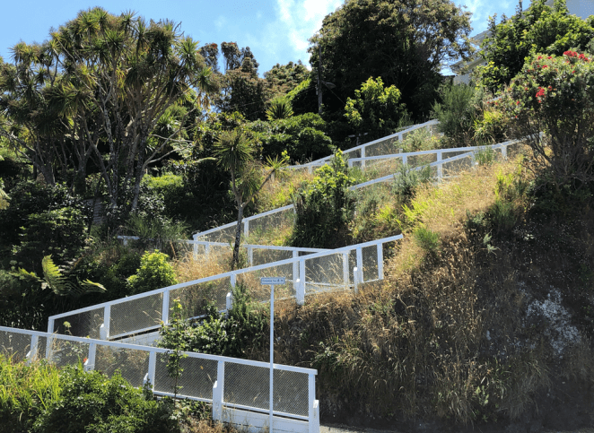 Screen Shot 2019-05-08 at 11.09.19 PM