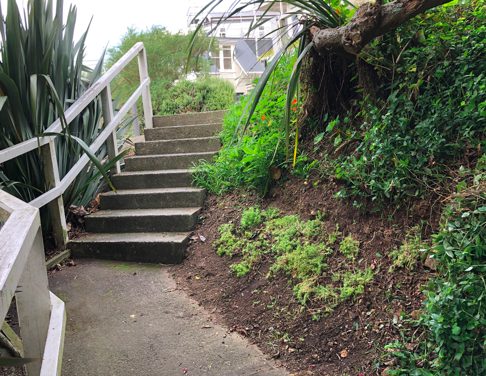 Screen Shot 2019-05-08 at 9.49.00 PM