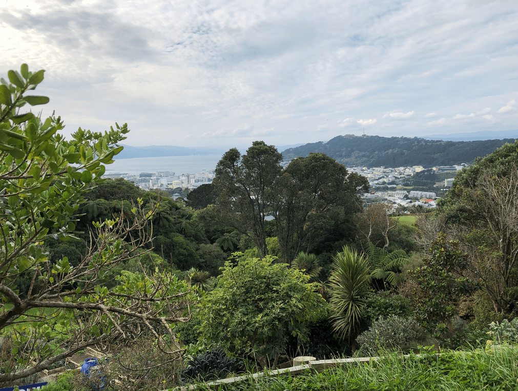 Screen Shot 2019-05-08 at 9.49.53 PM