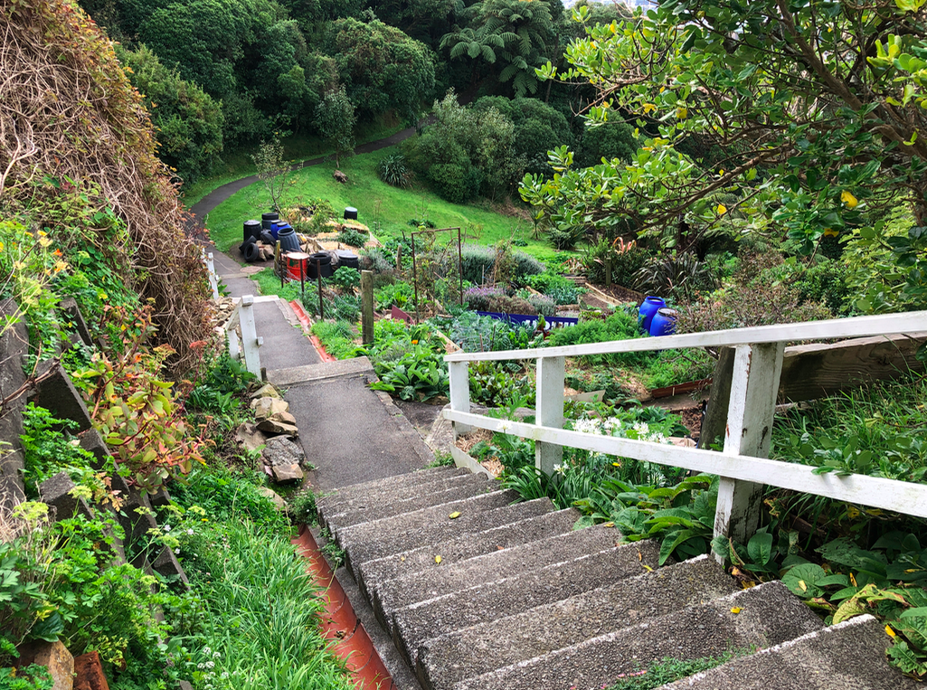 Screen Shot 2019-05-08 at 9.50.05 PM