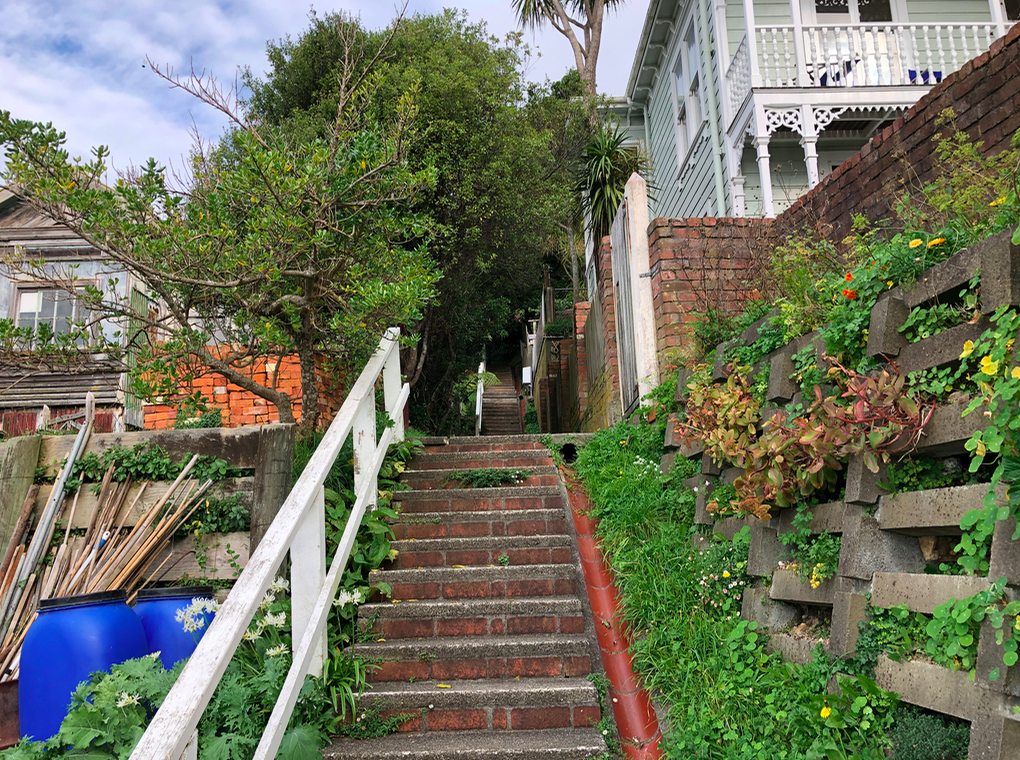 Screen Shot 2019-05-08 at 9.50.18 PM