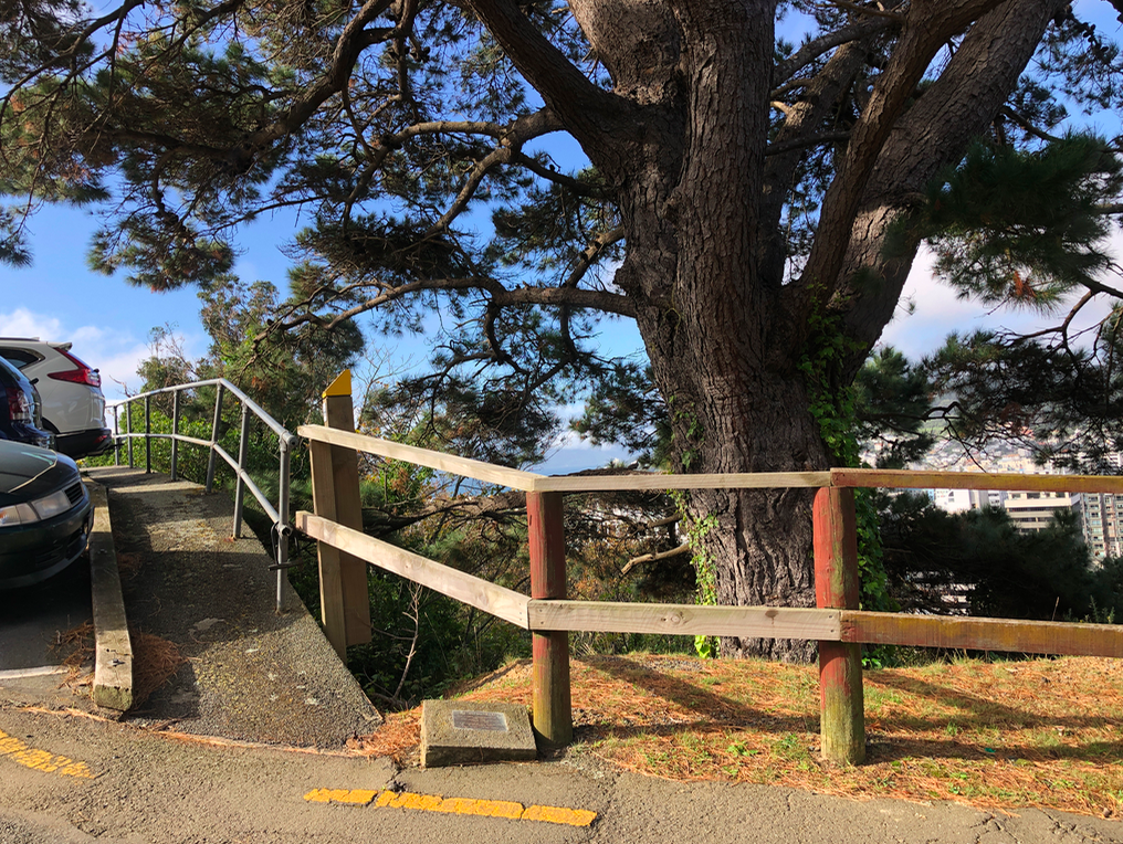 Screen Shot 2019-05-09 at 11.19.57 PM