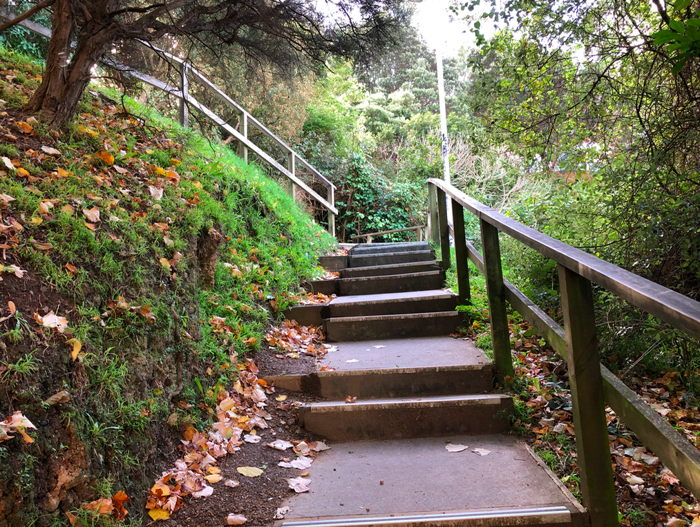 Screen Shot 2019-05-09 at 11.21.38 PM