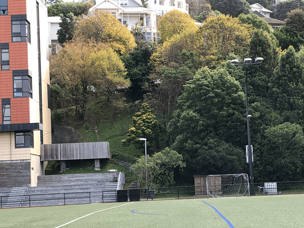 Screen Shot 2019-05-09 at 11.23.16 PM